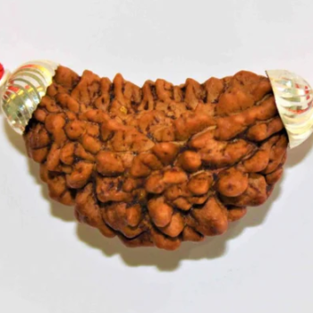 1 Mukhi Rudraska (South Indian Origin)