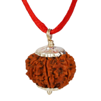 4 mukhi Rudraksha(Nepal Origin)