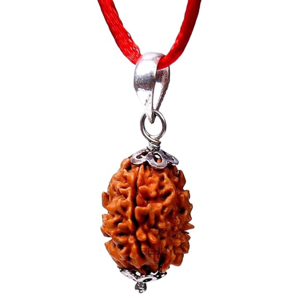 3 Mukhi Rudraksha (Nepal Origin)