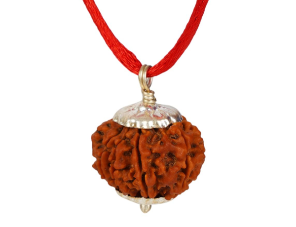 4 mukhi Rudraksha(Nepal Origin)