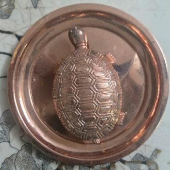 Tortoise Brass
